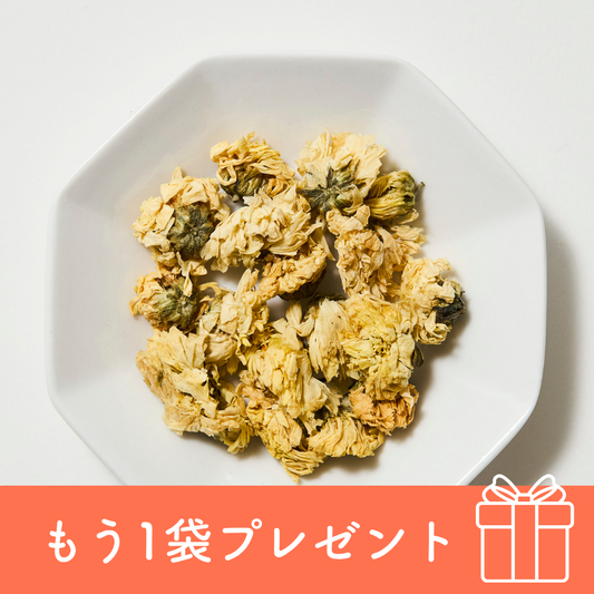 菊花-kikuka-