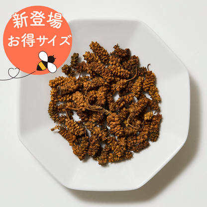 桑椹子-sozinshi-