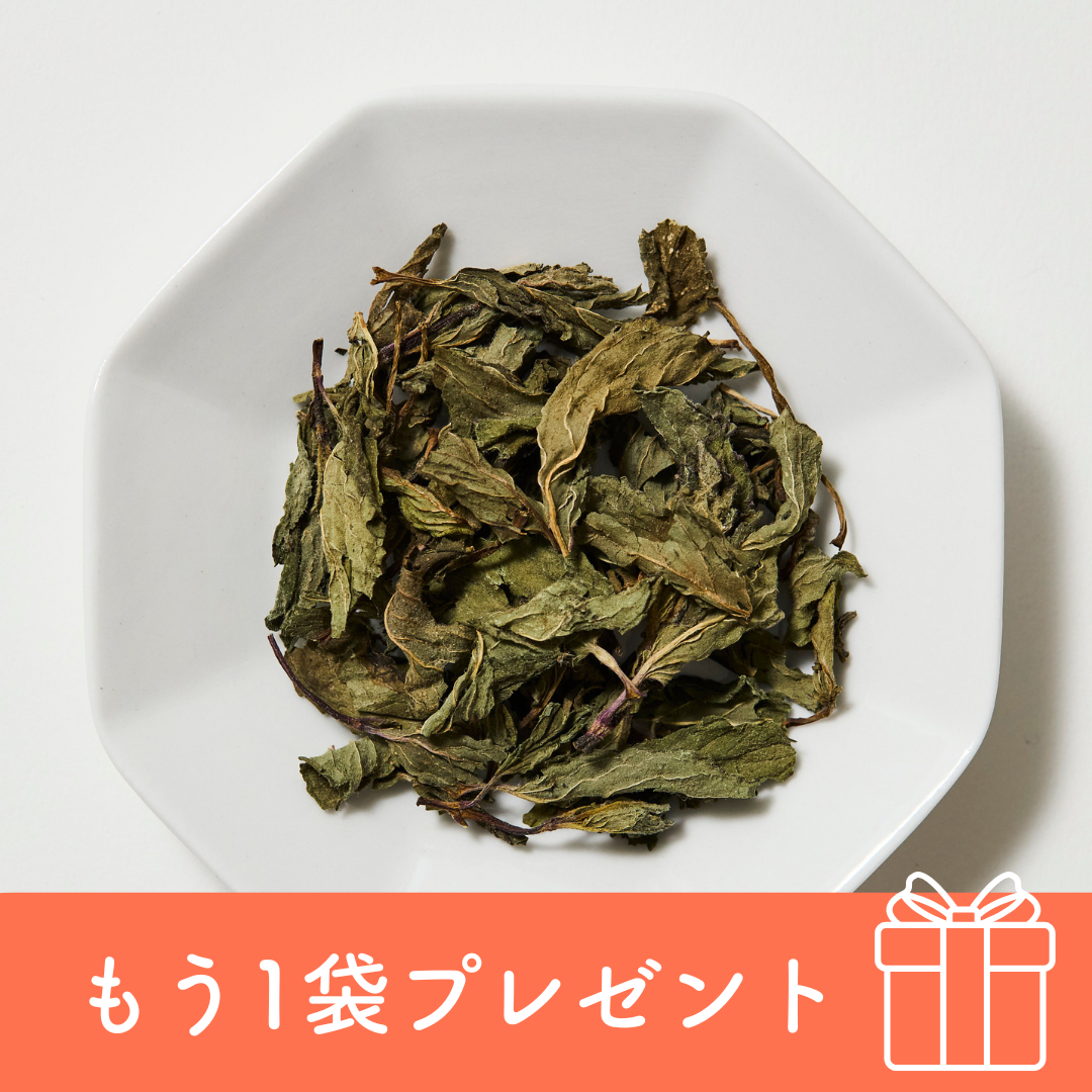 薄荷-hakka-