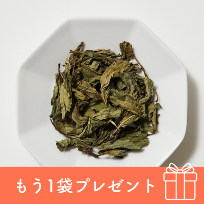 薄荷-hakka-